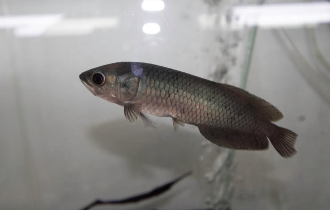 WhatsApp Image 2025-09-03 at 12.37.38 (1)