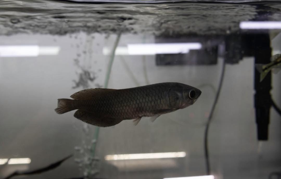 WhatsApp Image 2025-09-03 at 12.37.38 (2)