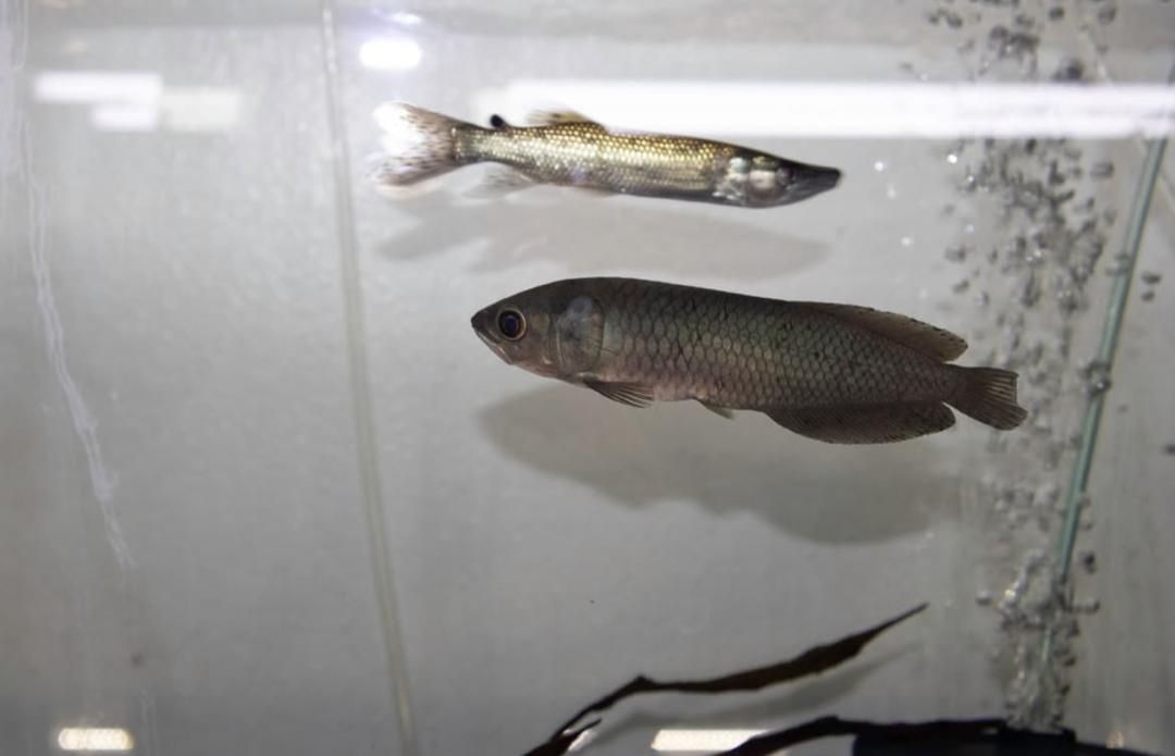 WhatsApp Image 2025-09-03 at 12.37.38 (3)